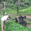 Bonobo majomrezervátum