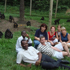 Kirándulás a Bonobo majomrezervátumba